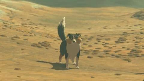 فيلم Legend Of Zelda قد يعرض فتى جيد جدًا من Breath Of The Wild