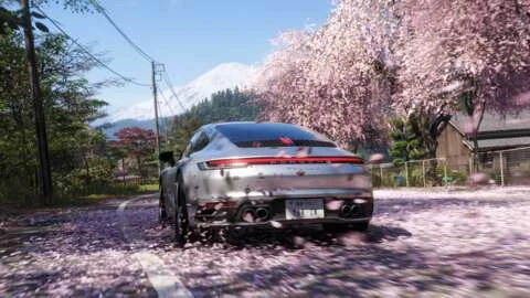 تتيح لك لعبة Forza Horizon 6 تدمير معظم الأشجار، مع استثناء كبير