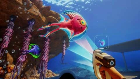 تحسينات على الطريق في Subnautica 2، لكن لا، لا يمكنك محاربة الأسماك